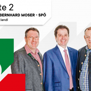 Gemeinderatswahl Landl am 22. März 2020