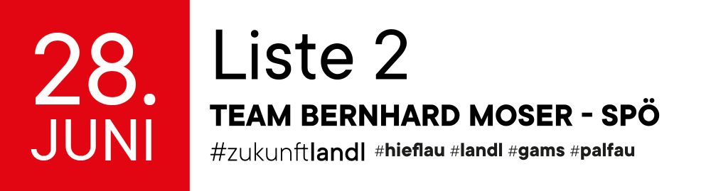 Liste 2 | Team Bernhard Moser - SPÖ | Gemeinderatswahl am28. Juni 2020